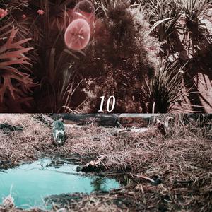 中文版Pornhub进入
